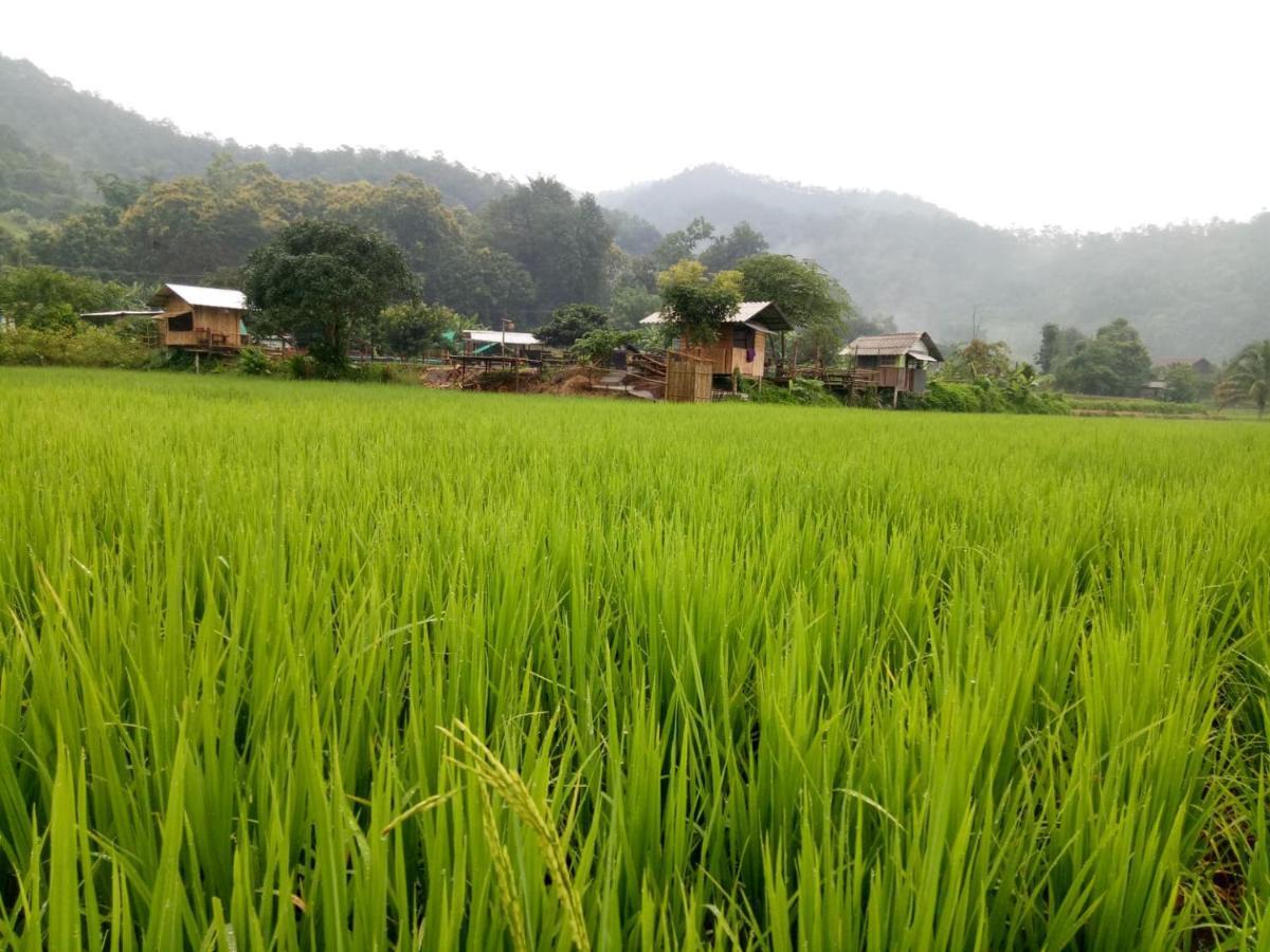 Samoeng Fishing Park Home Stay Bagian luar foto